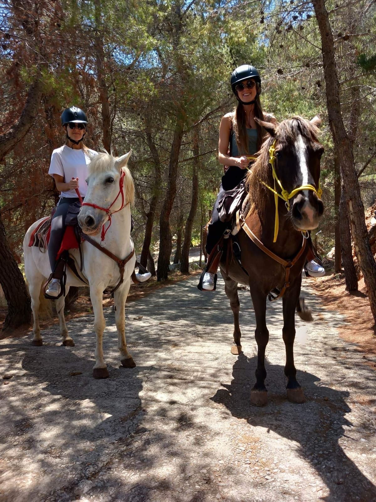 Ένας αναβάτης πάνω σε άλογο στην Ύδρα