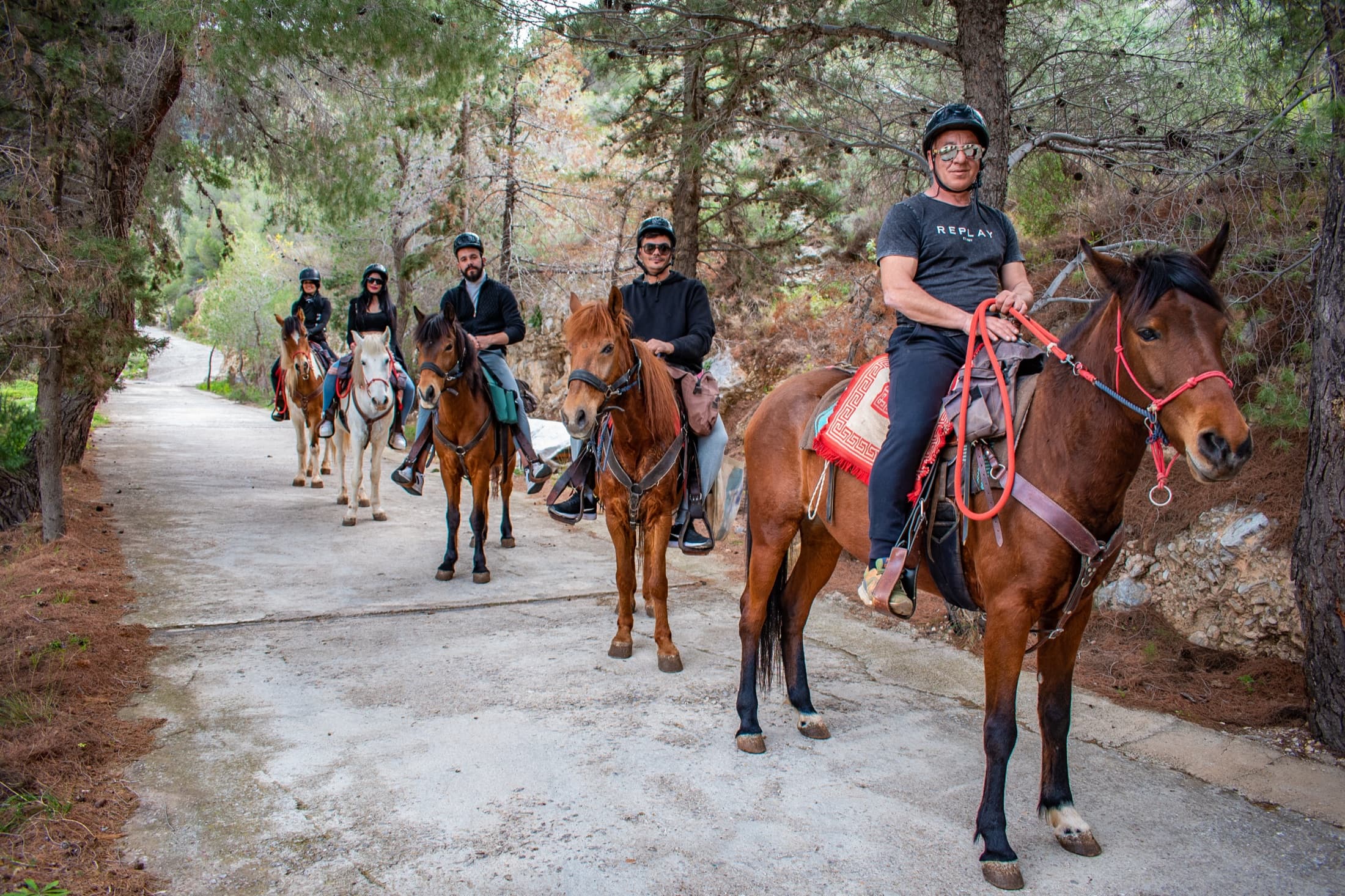 A guide leads a group of riders down a pine-lined trail on Hydra