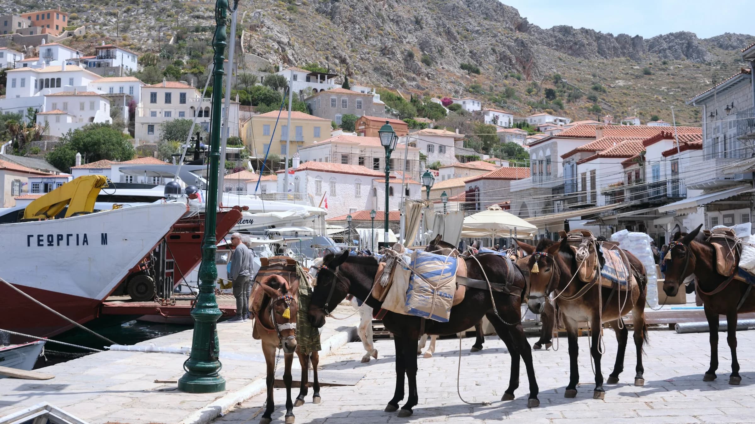 Μουλάρια μεταφοράς περιμένουν στην πλακόστρωτη προκυμαία του λιμανιού της Ύδρας, με τη λευκή πόλη να ανηφορίζει στην πλαγιά πίσω τους